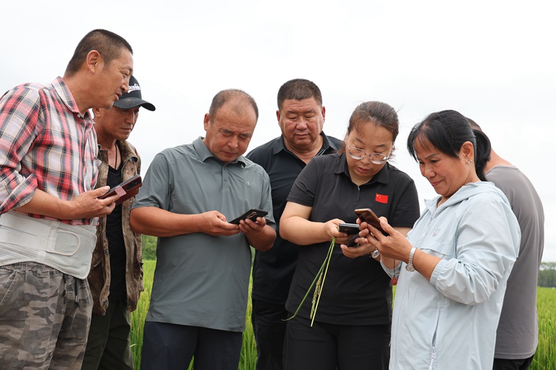 1785316529510931.jpg 培训结束后,种植户们纷纷主动与专家对接、添加联系方式,.jpg