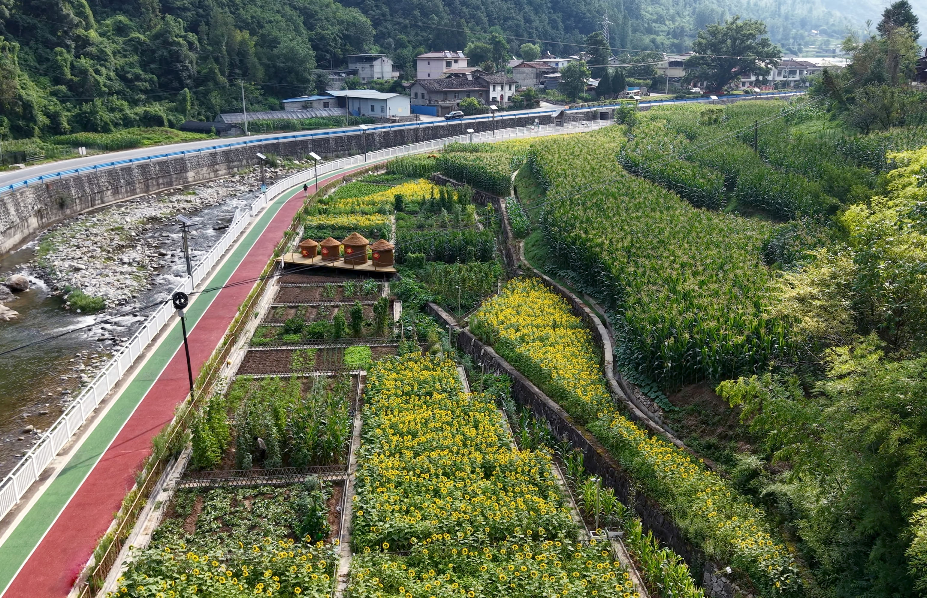 1785398508562013.jpg 城关镇东河社区旱坝大田园风景如画。(周俊博 摄).jpg