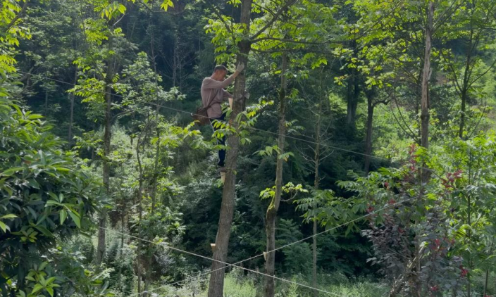 1786085248198238.png 11.png