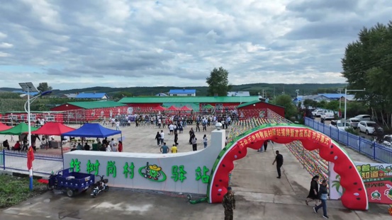 1786676855914974.jpg 图片6_副本.jpg