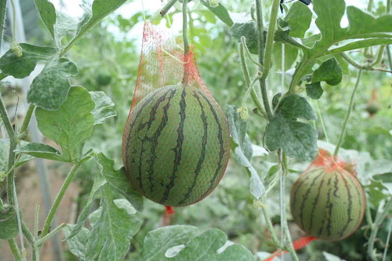 住进“小红房”.JPG