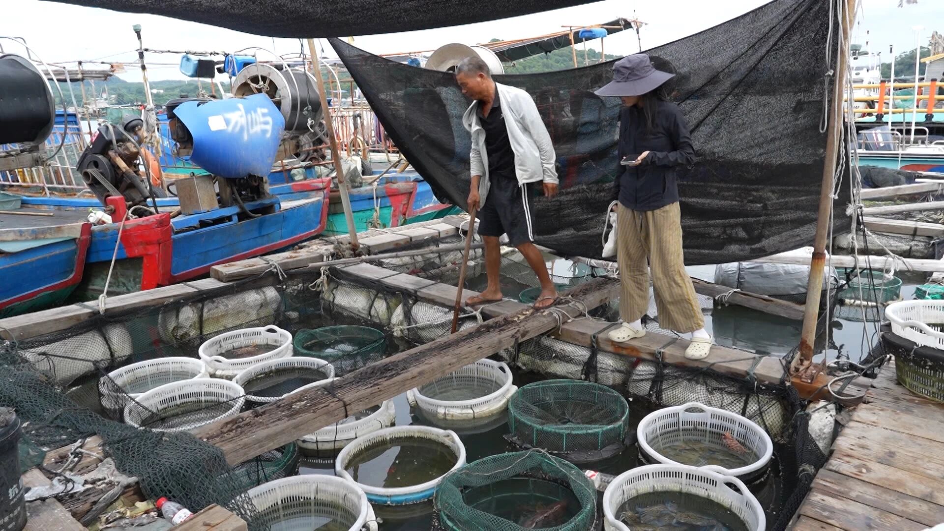 渔民汤志坤正忙着将捕捞上岸的青脚花蟹分拣入筐.jpg