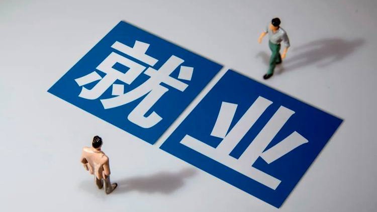 “学校练的和企业要的是同一套东西”(稳就业·暖心故事)