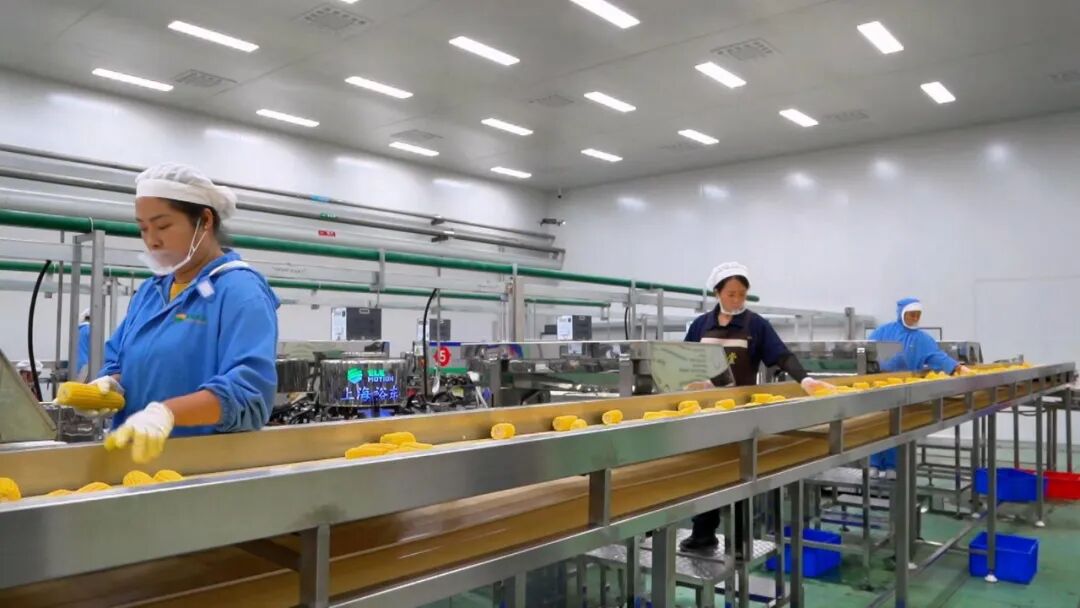 品农公司生产.jpg