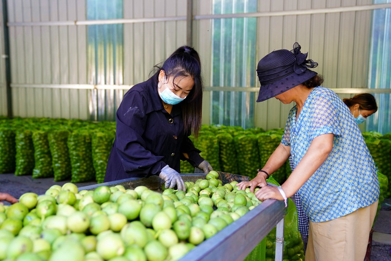 1788402887545007.jpg 2.jpg