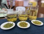 六部门印发意见 推动历史经典产业高质量发展