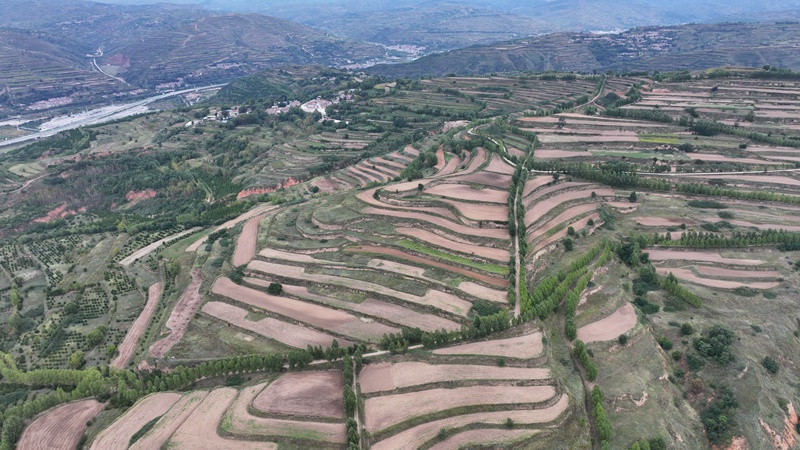 1789544038711563.jpg 盘安镇1.4万亩冬小麦基地.JPG