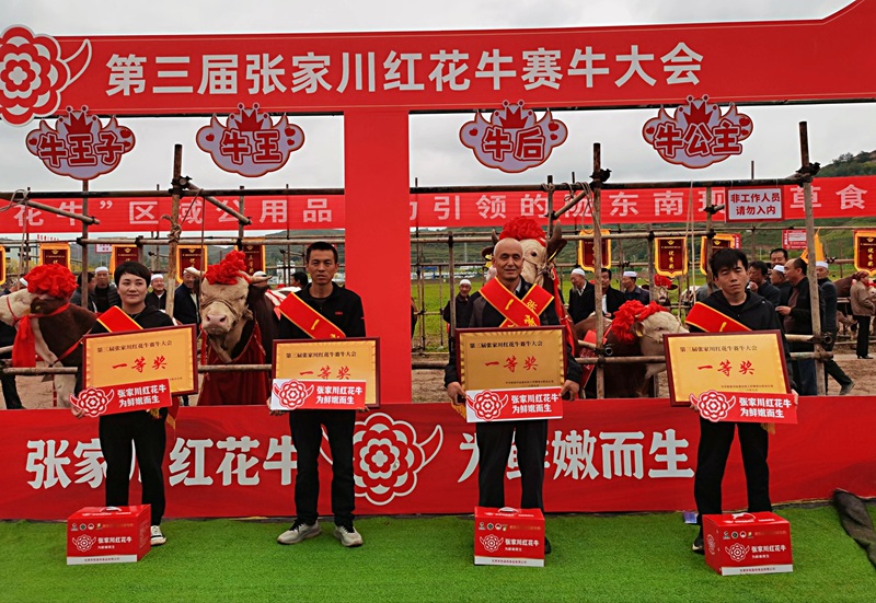 1789981138661444.jpg 颁奖现场.jpg
