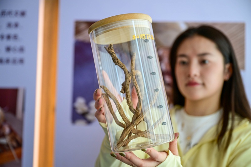 1790066793999965.jpg 游客观赏丹参 赵明辰摄.jpg