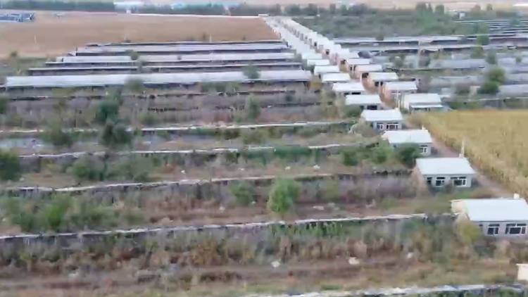 1.2亿就搭5个棚？避免惠农政策红利被肆意套取