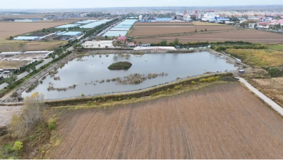 1792052889693983.png 通北镇河蟹养殖基地(李海龙 摄).png