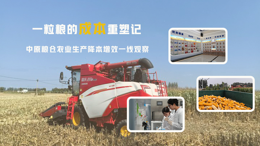 一粒粮的成本重塑记——中原粮仓农业生产降本增效一线观察