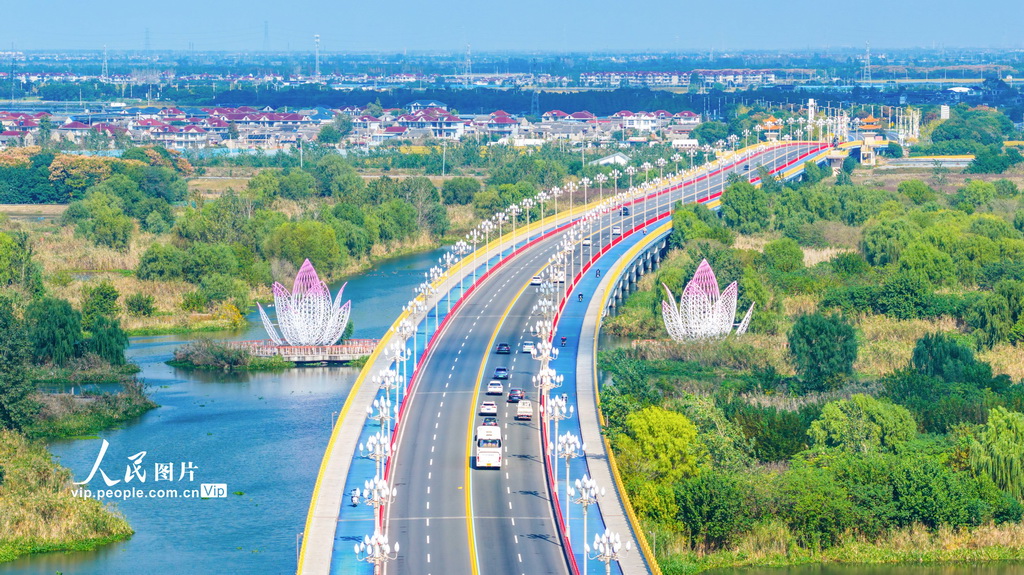 江苏兴化：“四好农村路”秋日美景