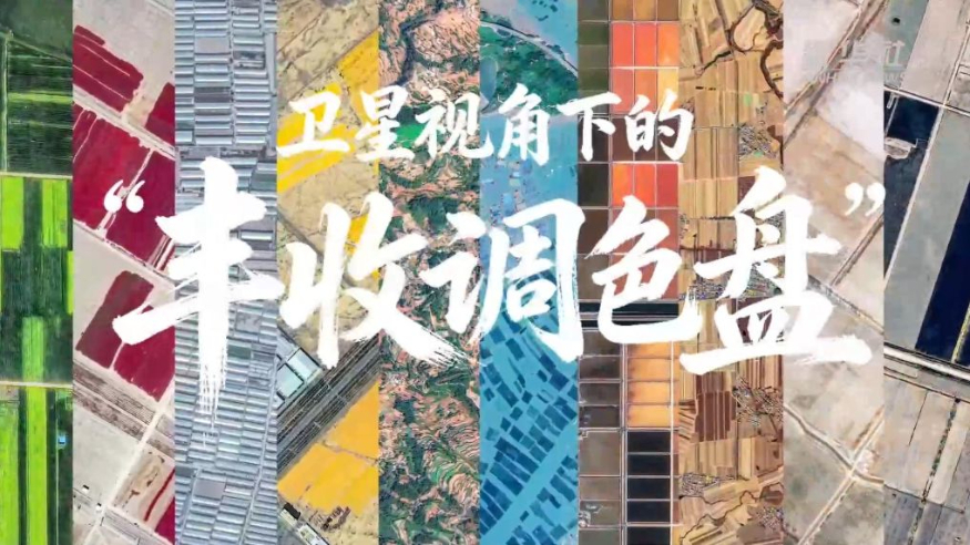 卫星视角下的“丰收调色盘”