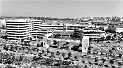 追“光”不息 逐新前行